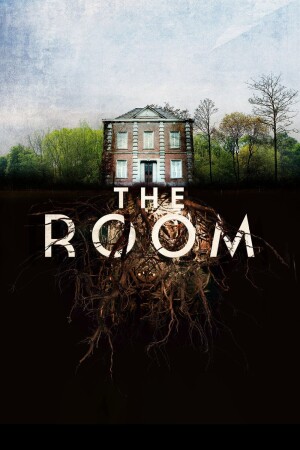 The Room film poster