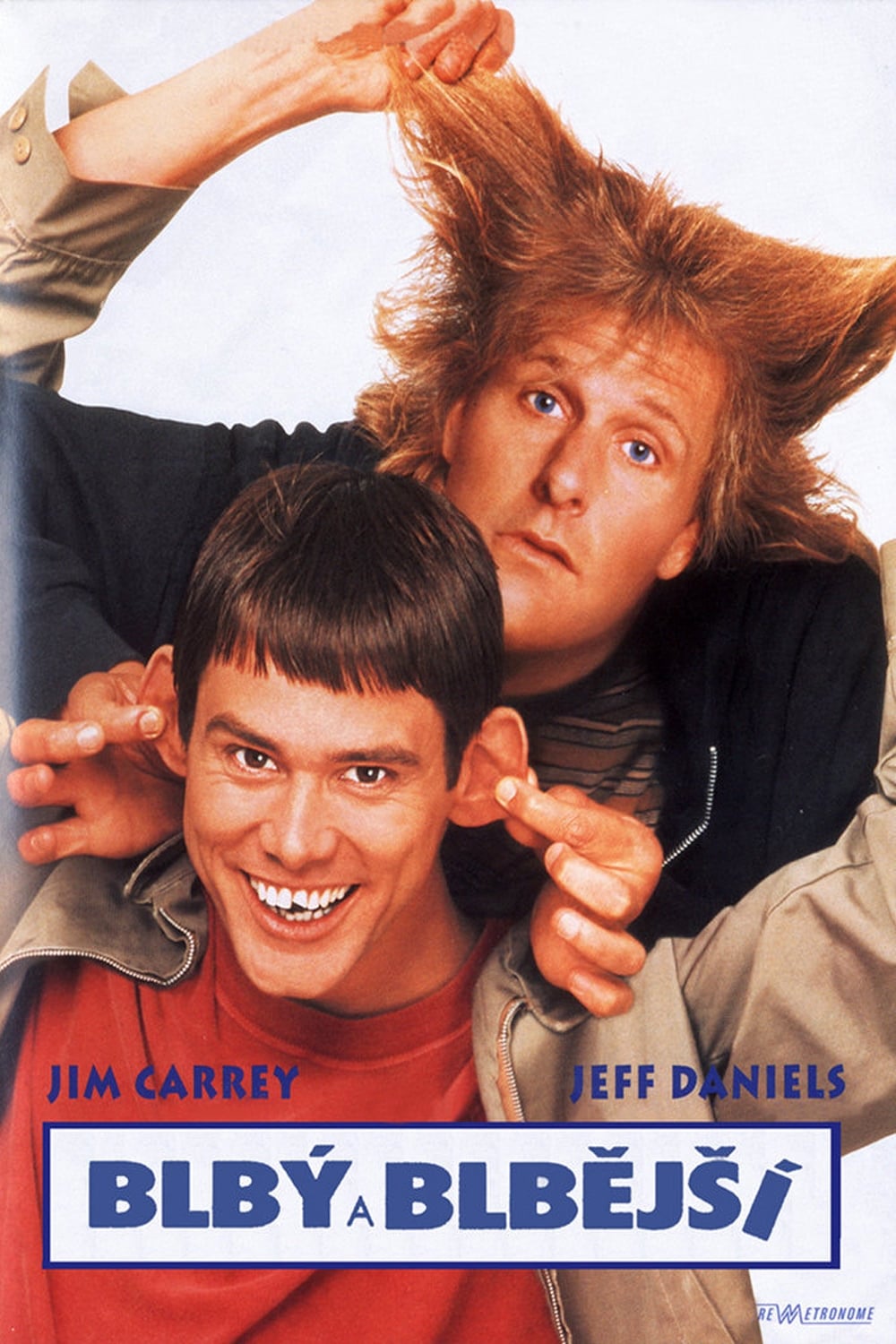 Poster of Dumb and Dumber