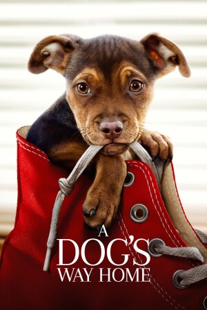 A Dog's Way Home film poster
