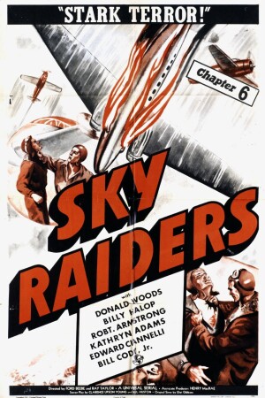 Sky Raiders film poster