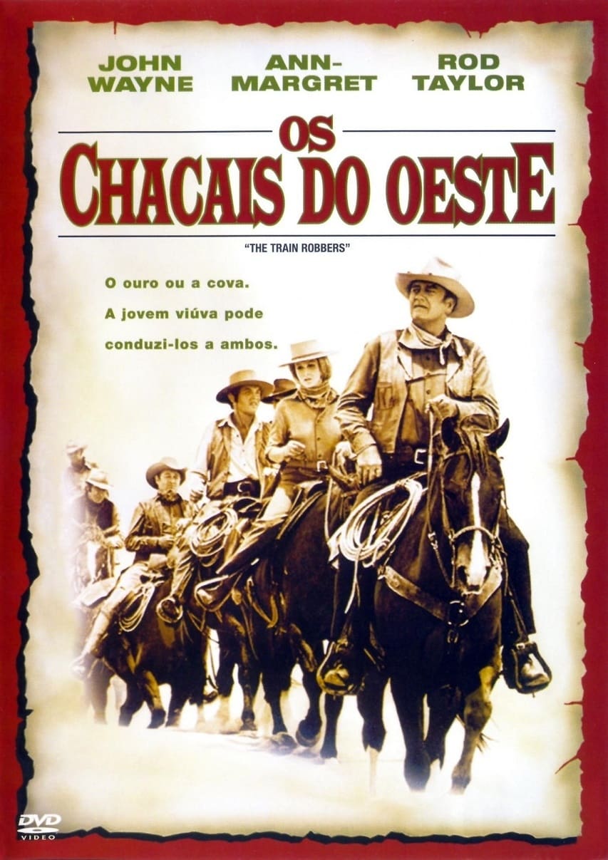 Póster de Ladrones de trenes