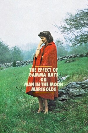The Effect of Gamma Rays on Man-in-the-Moon Marigolds film poster