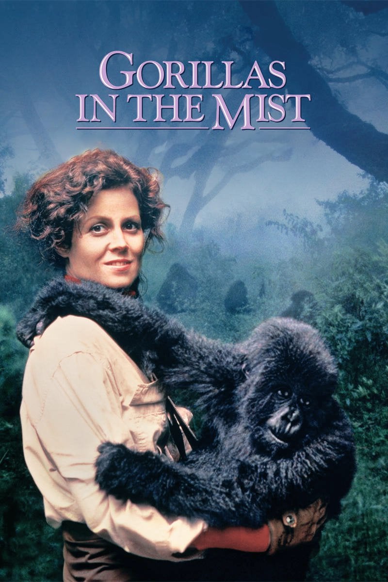 Poster of Gorillas in the Mist