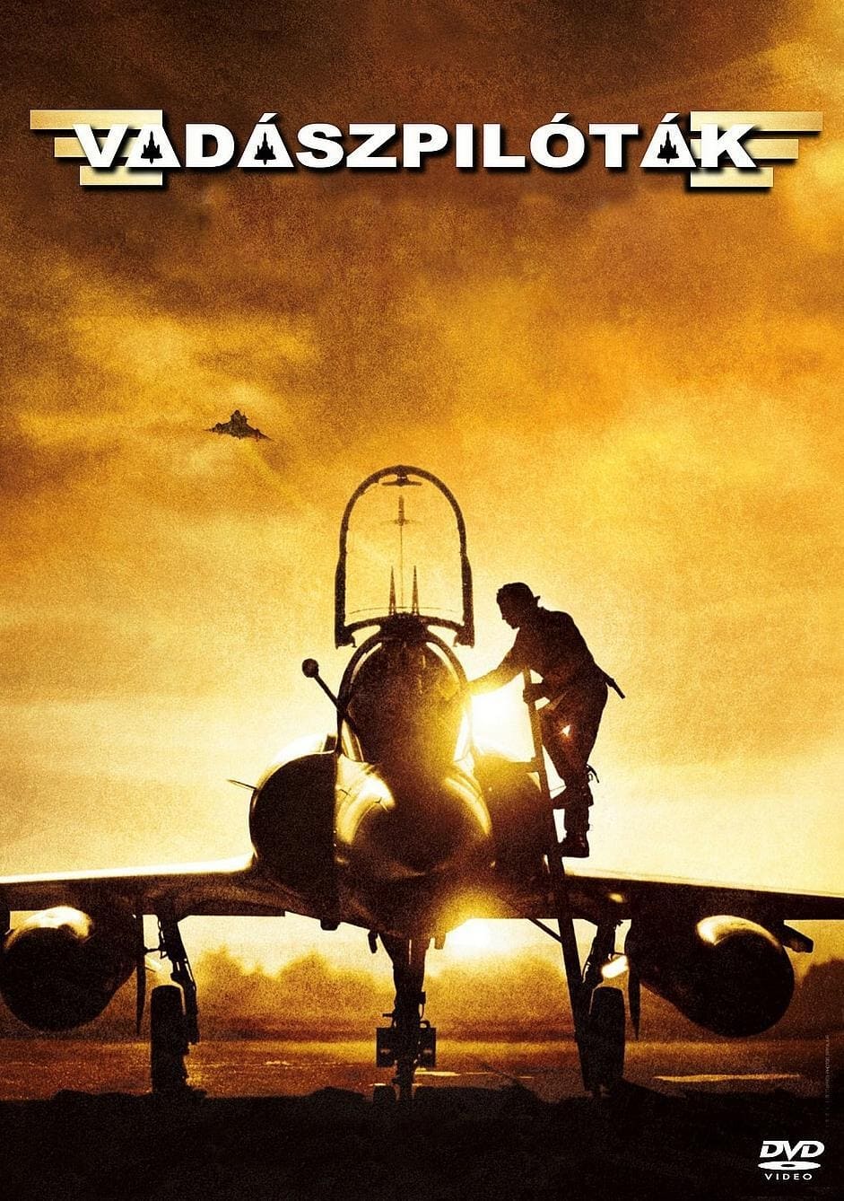 Poster of Sky Fighters