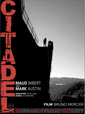 Póster de la película Citadel