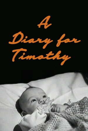 A Diary for Timothy film poster