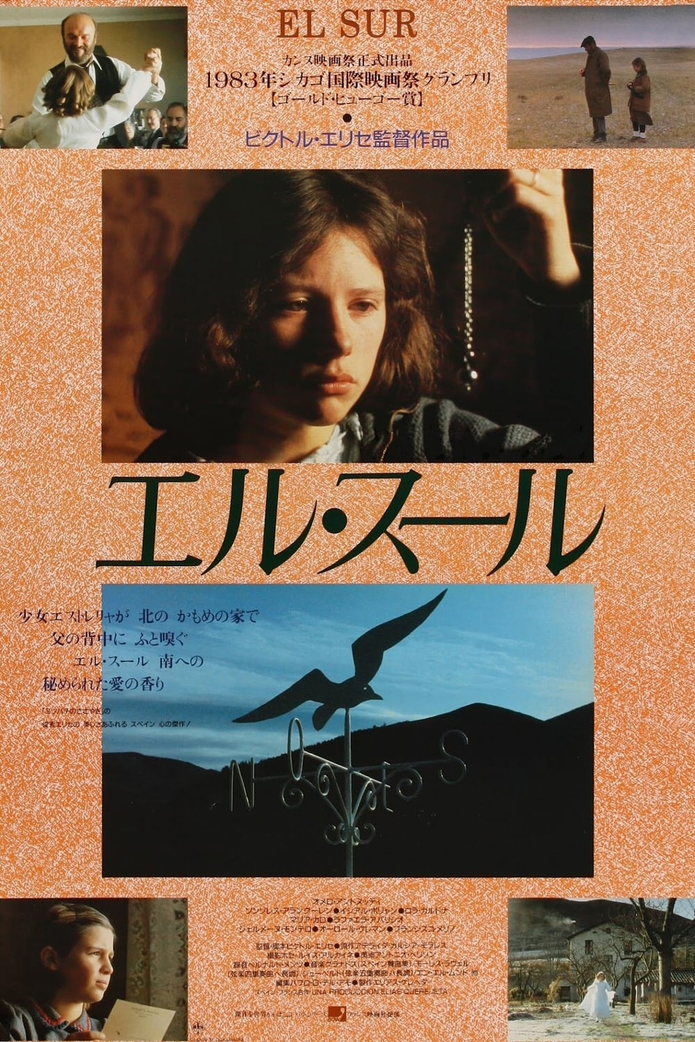 Poster of El Sur