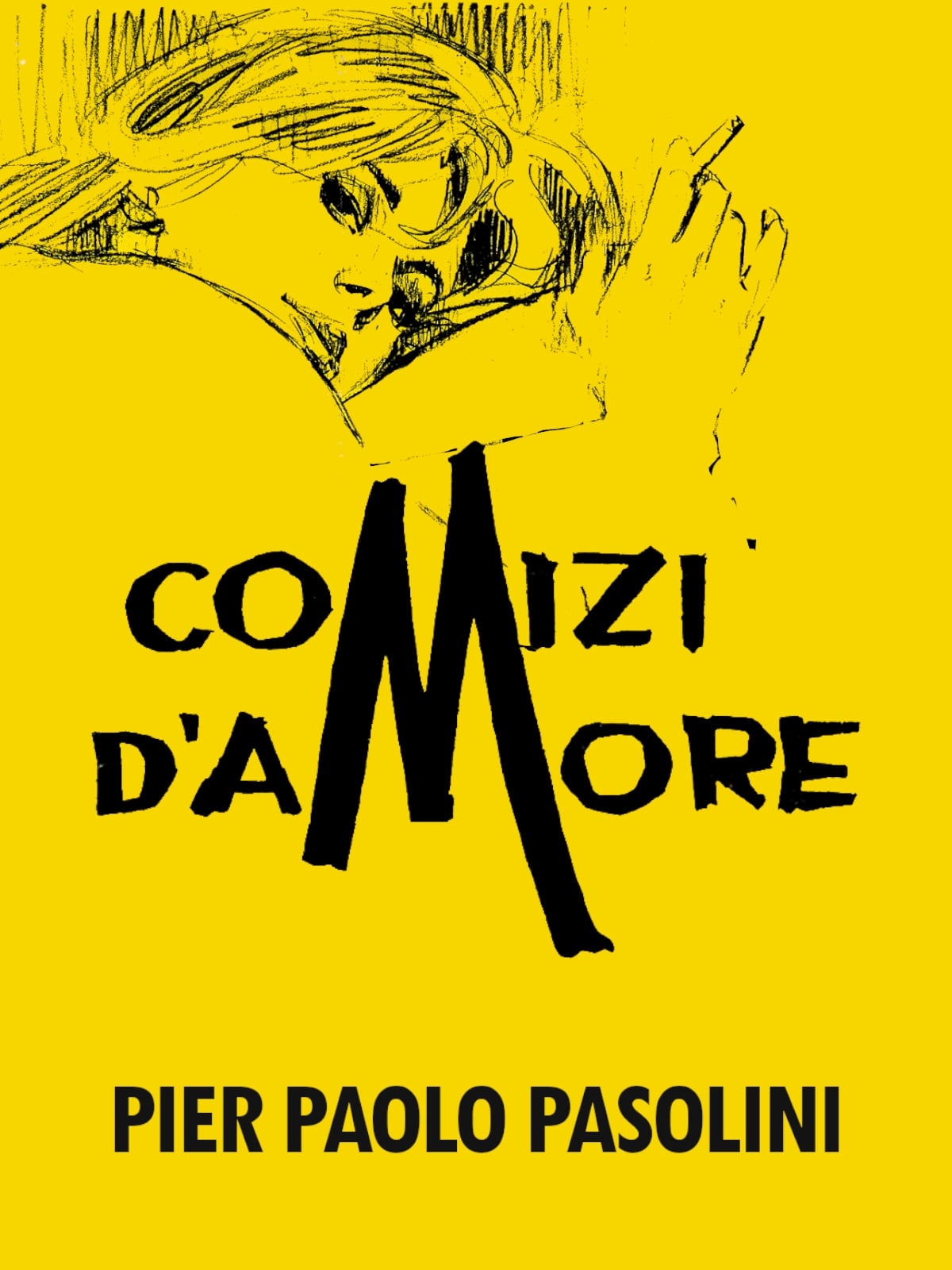 Póster de Encuesta sobre el Amor