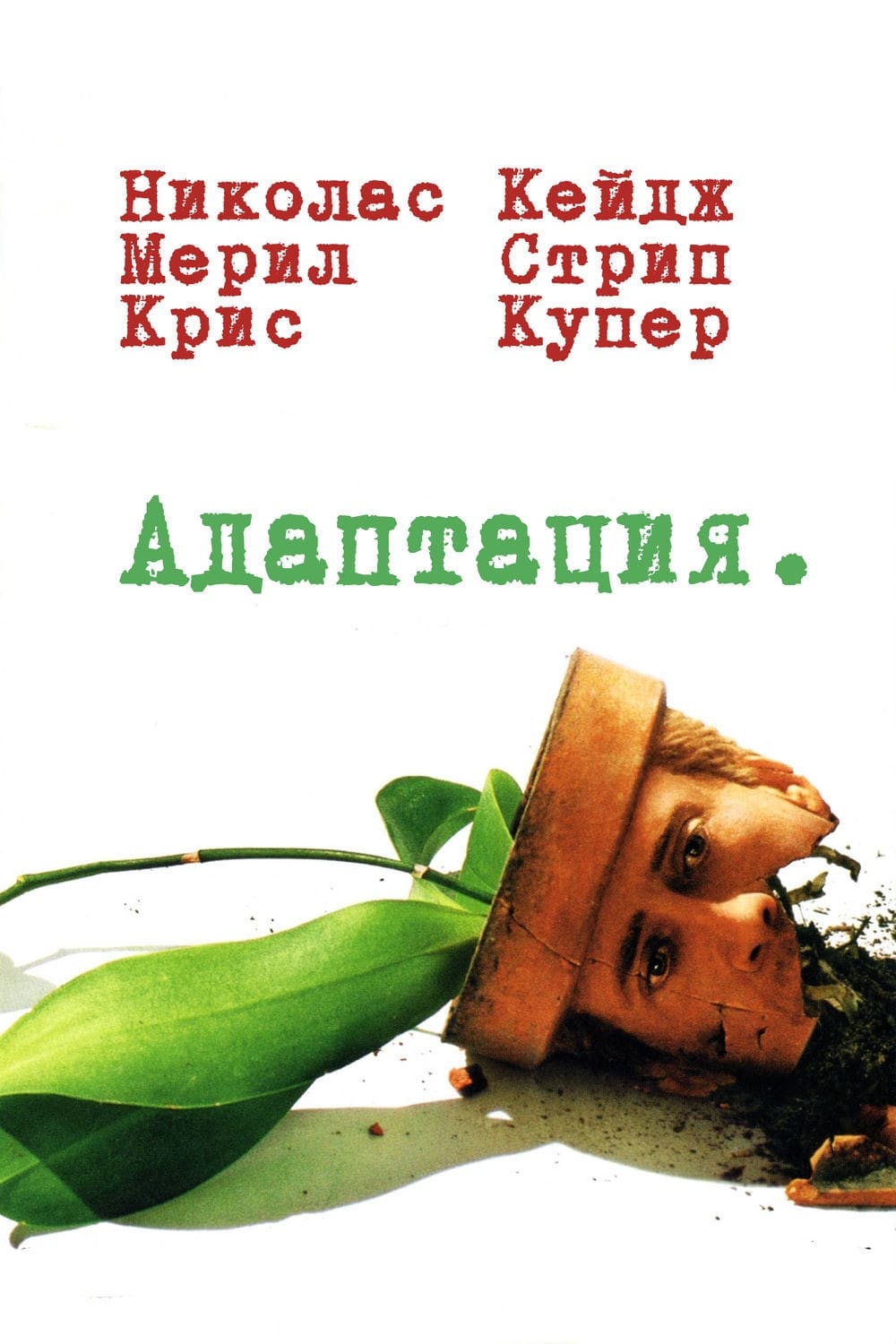 Poster of Adaptation.