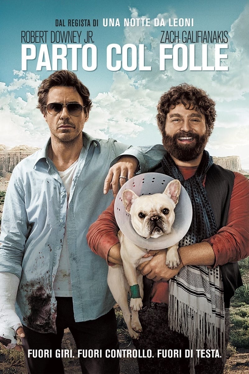 Poster of Due Date