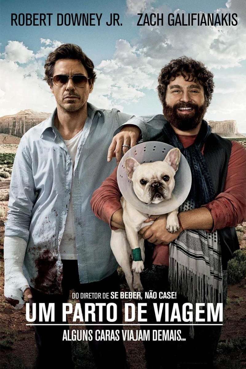Poster of Due Date