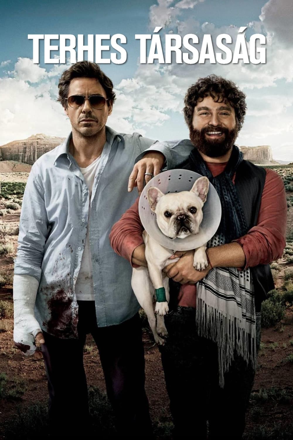 Poster of Due Date