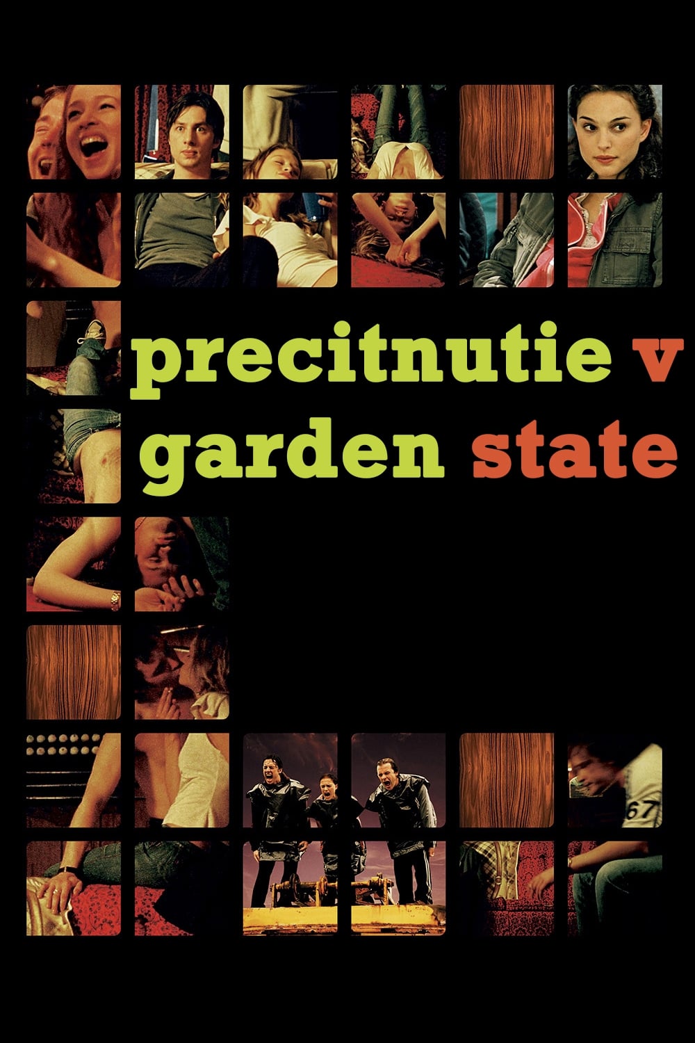 Póster de Algo en común