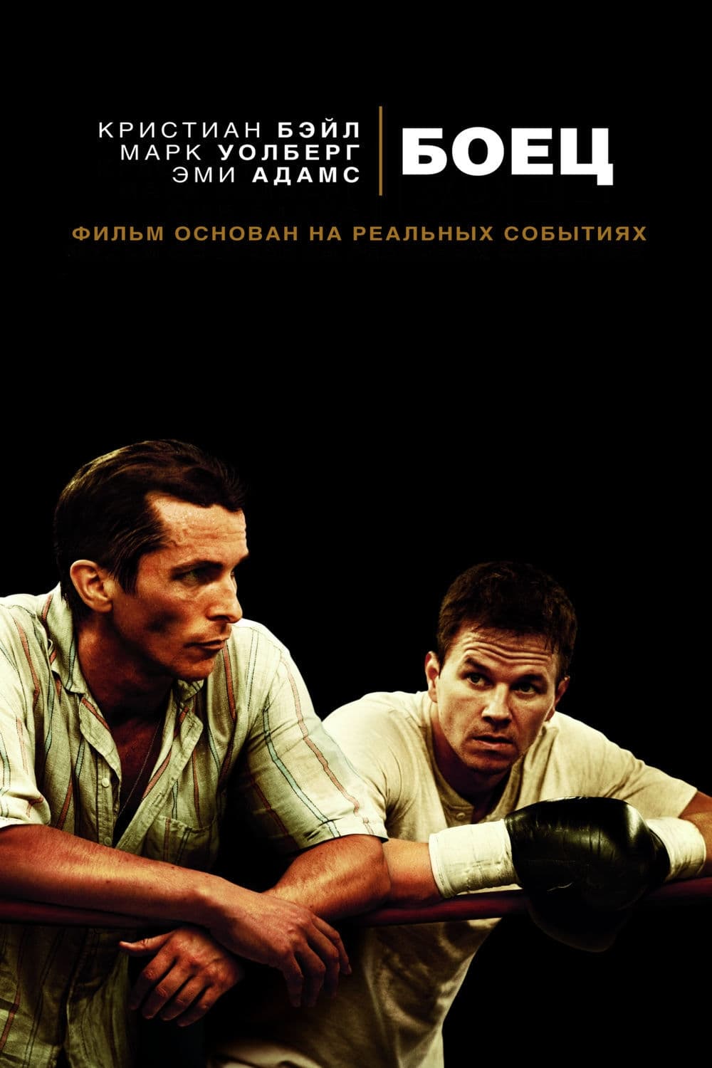 Poster of The Fighter