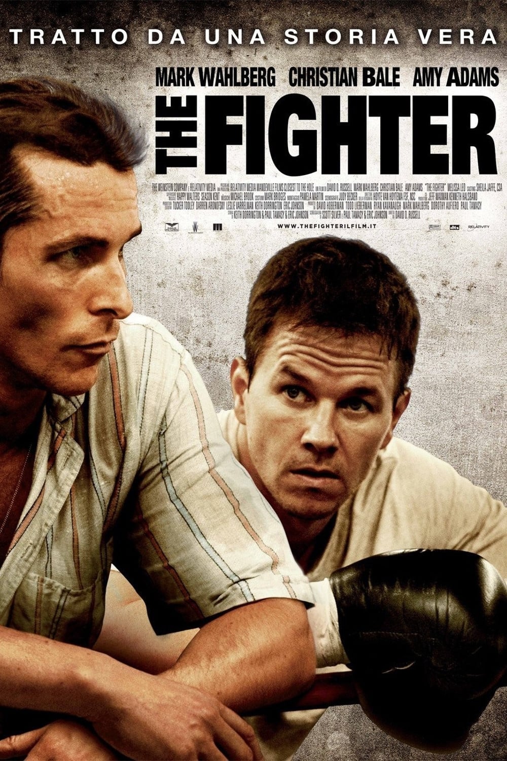 Poster of The Fighter