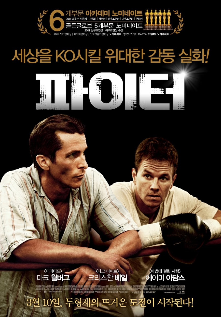 Poster of The Fighter