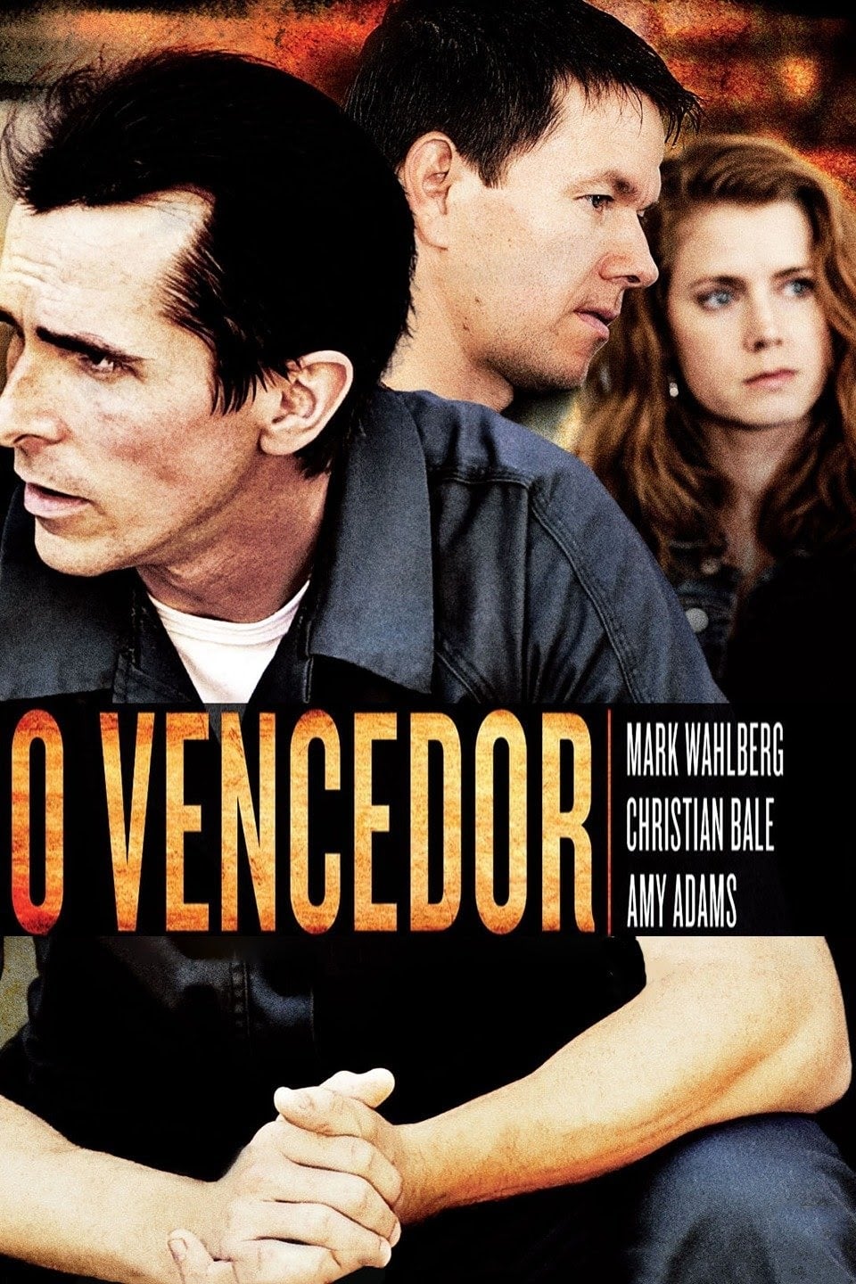 Poster of The Fighter