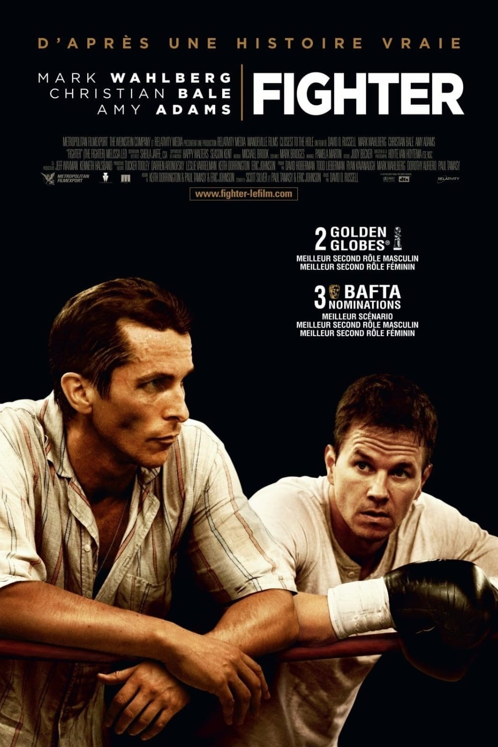 Poster of The Fighter