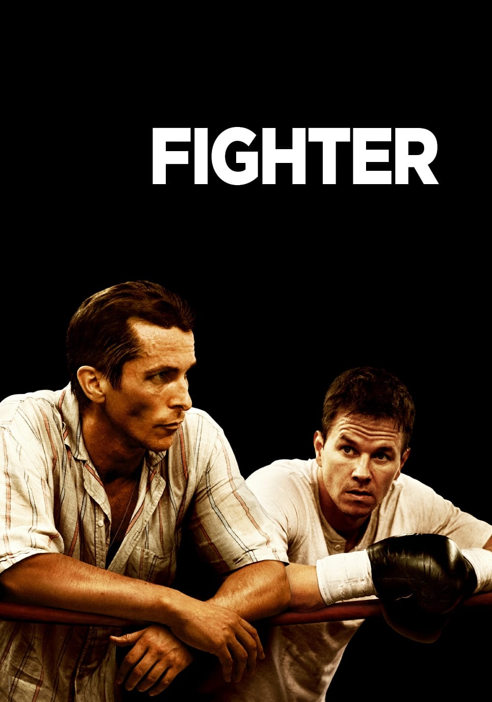 Poster of The Fighter