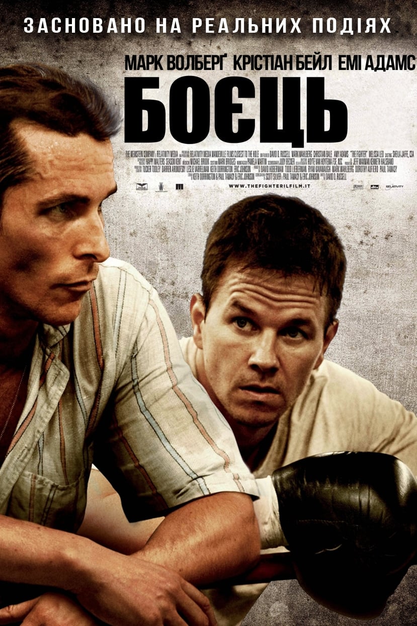 Poster of The Fighter