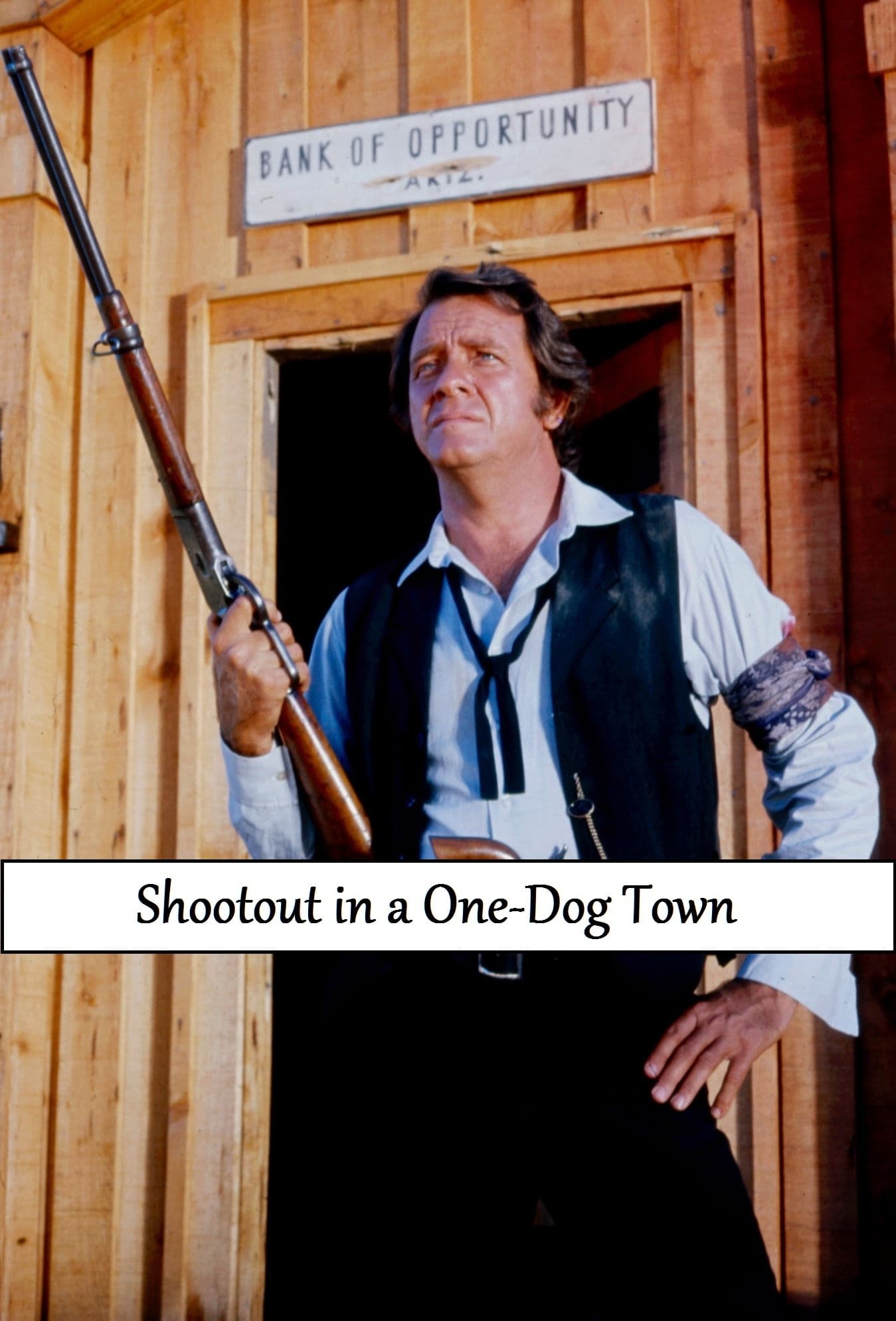 Póster de Shootout in a One-Dog Town