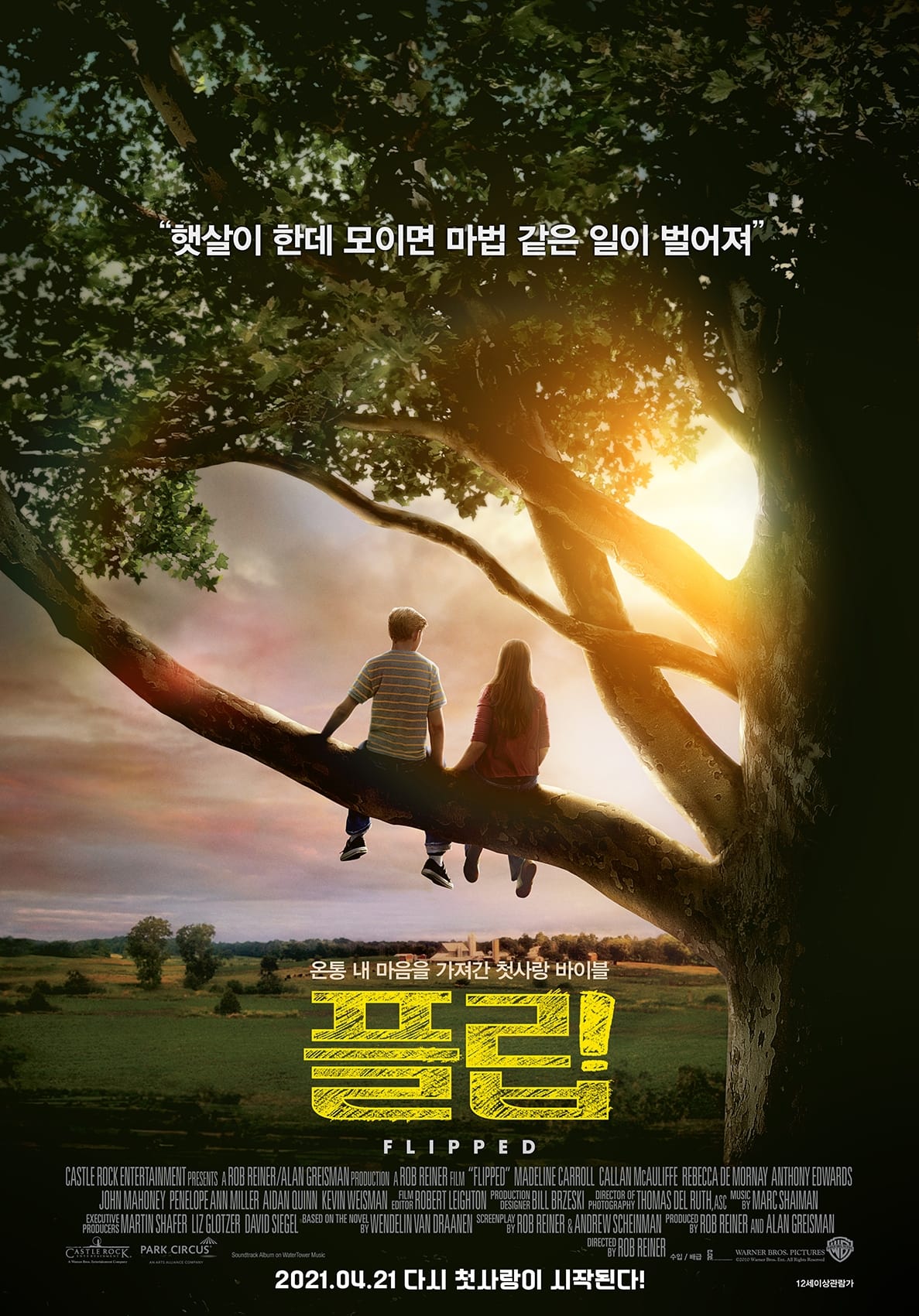 Póster de Flipped