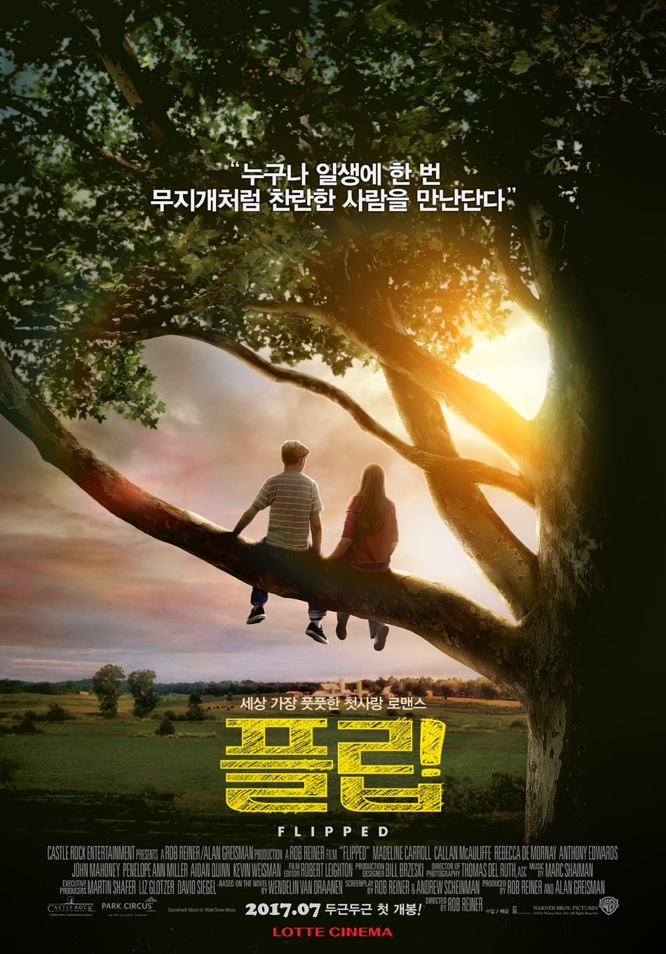 Póster de Flipped