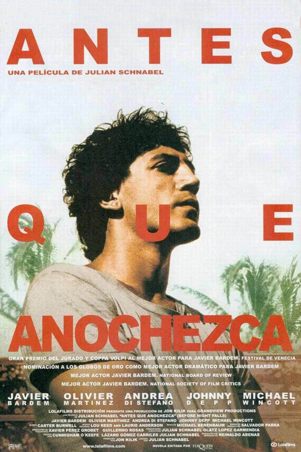 Póster de Antes que anochezca