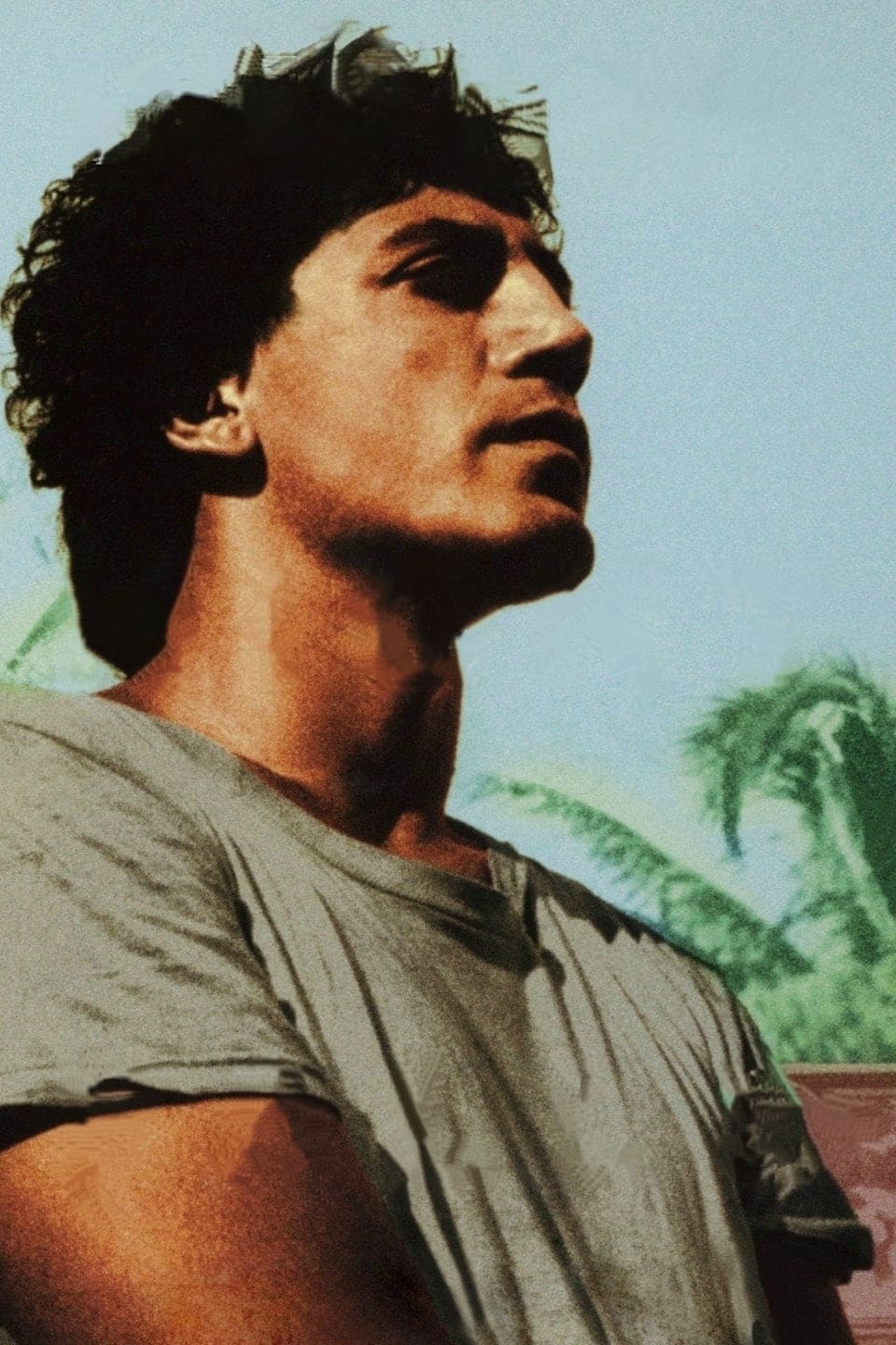 Póster de Antes que anochezca