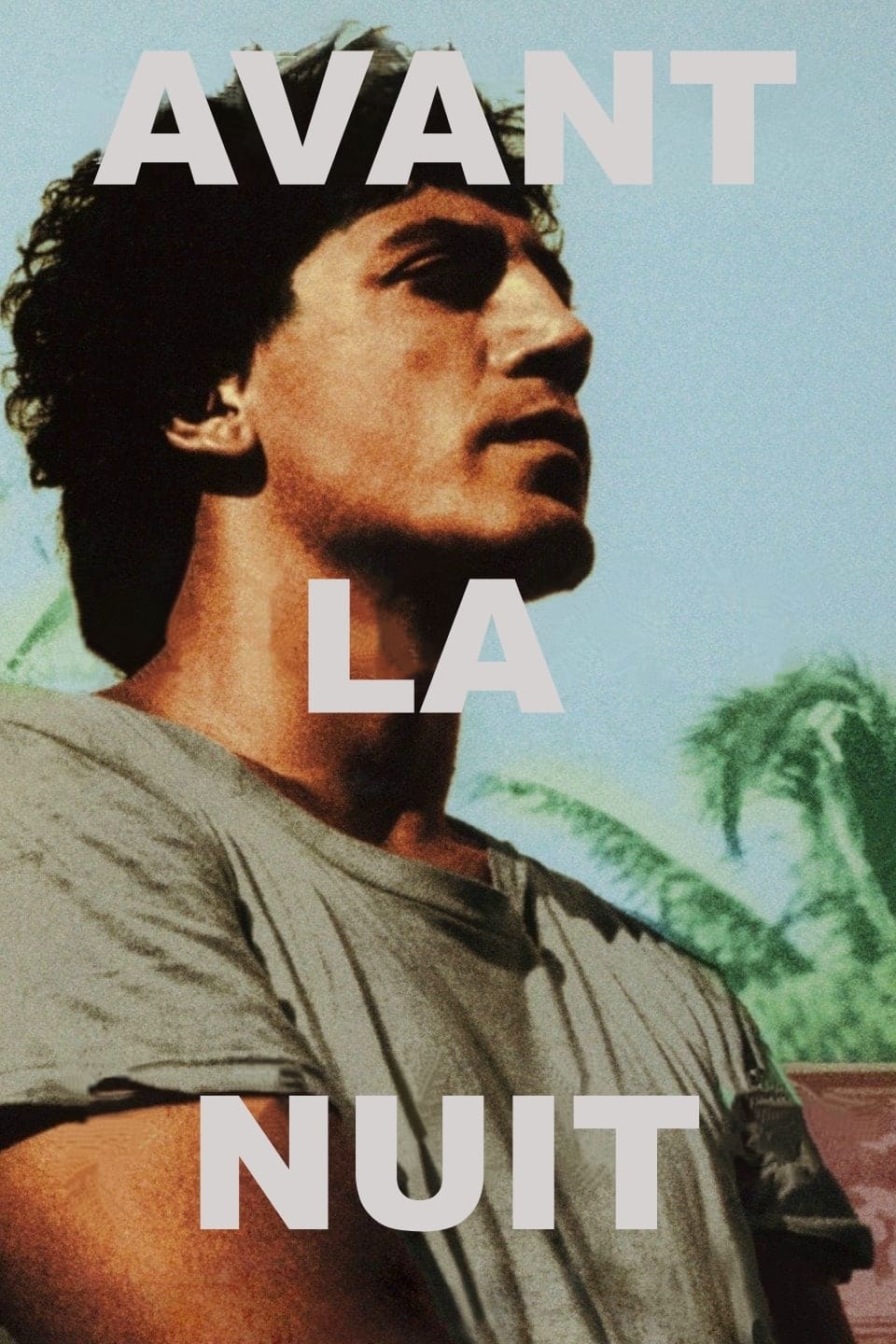 Póster de Antes que anochezca