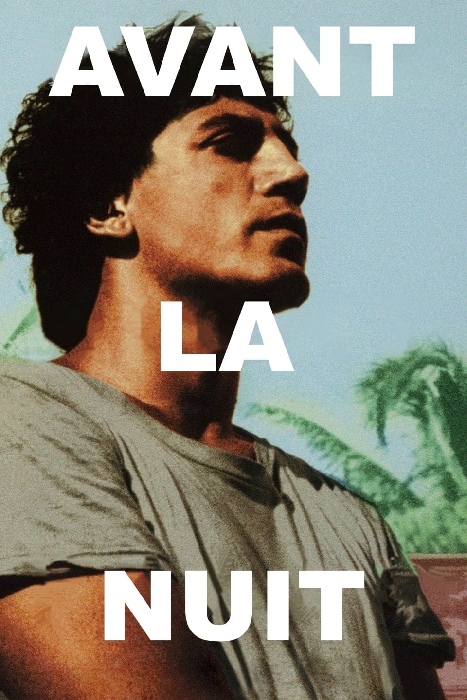 Póster de Antes que anochezca