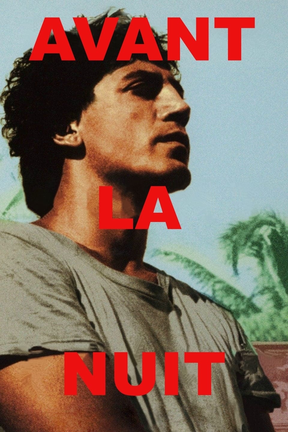 Póster de Antes que anochezca