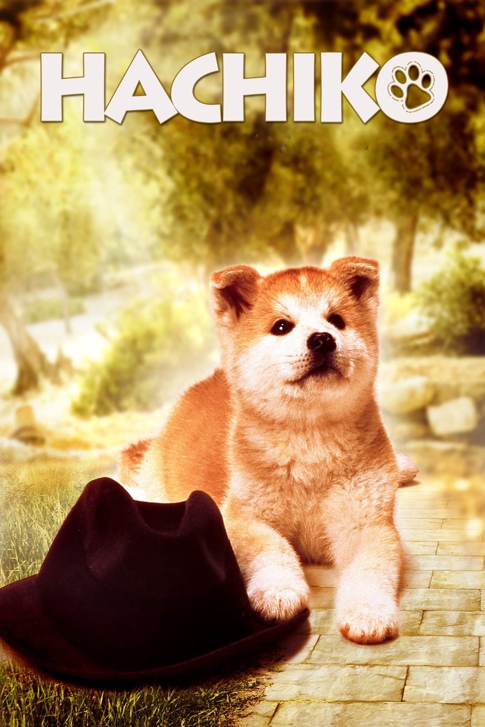 Póster de Hachiko