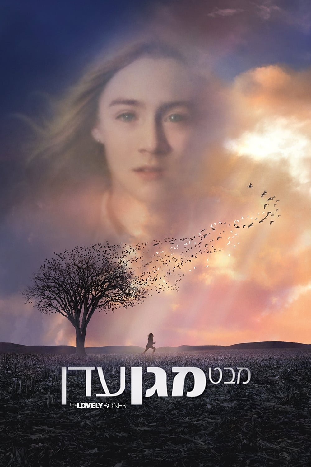 Póster de The Lovely Bones