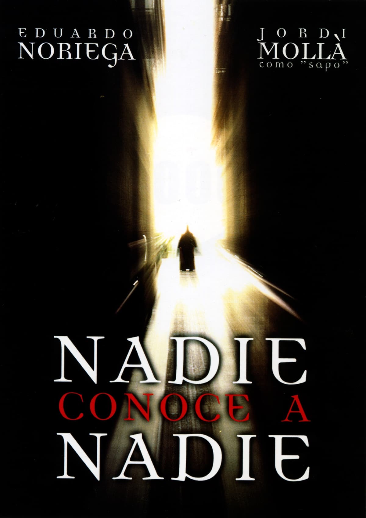 Poster of Nadie conoce a nadie