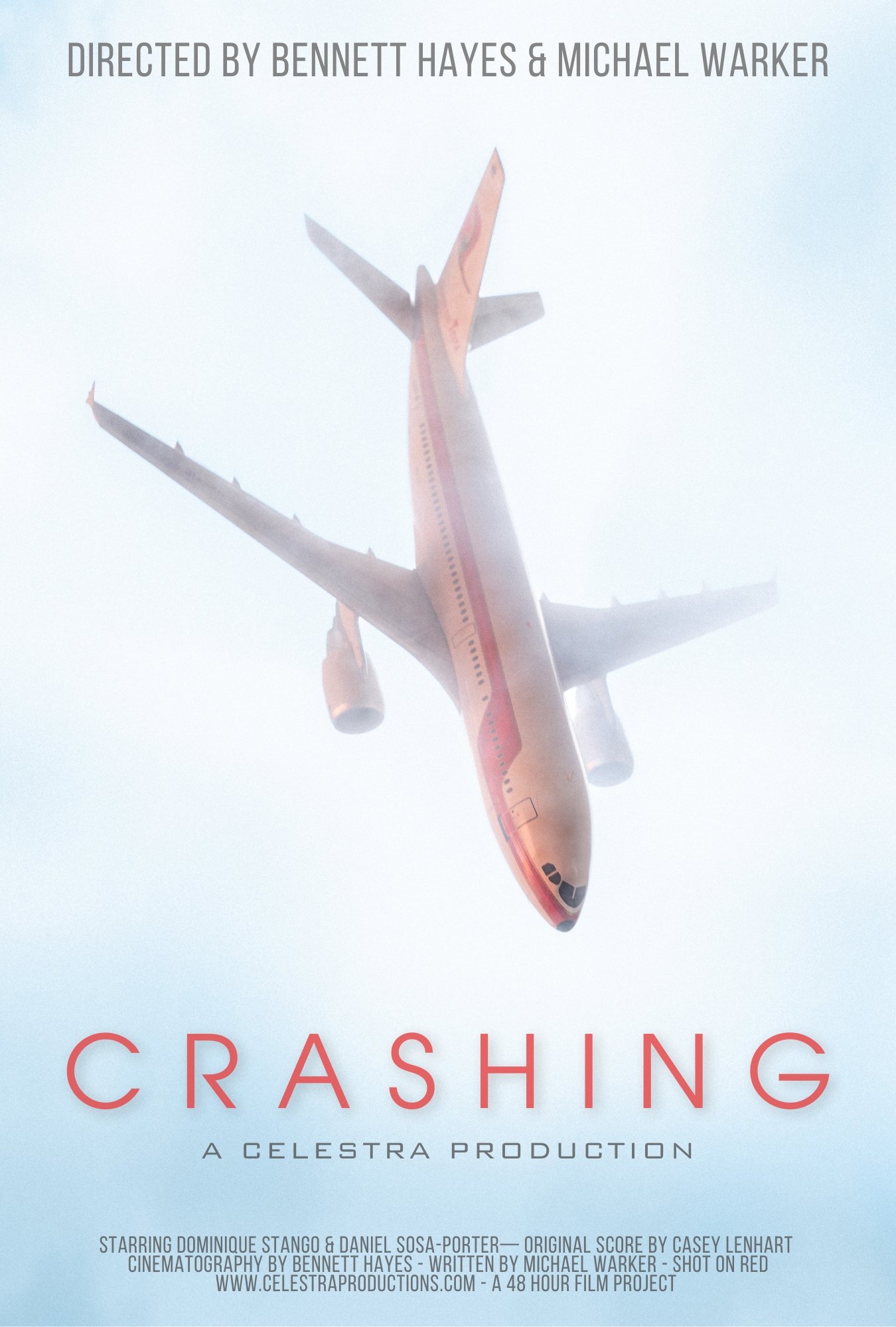 Póster de la película Crashing