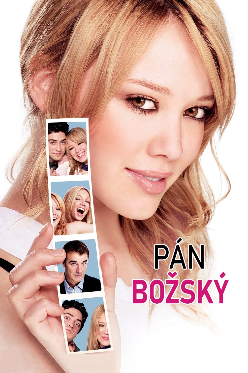 Poster of The Perfect Man