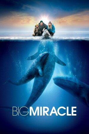 Big Miracle film poster