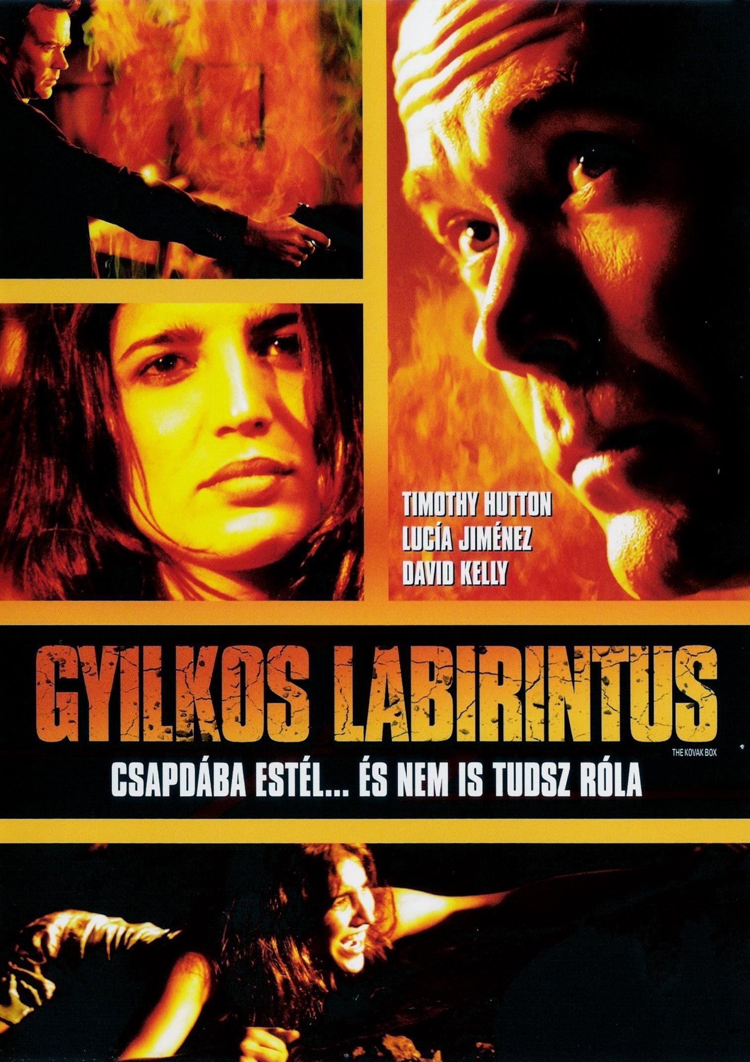 Póster de La caja Kovak