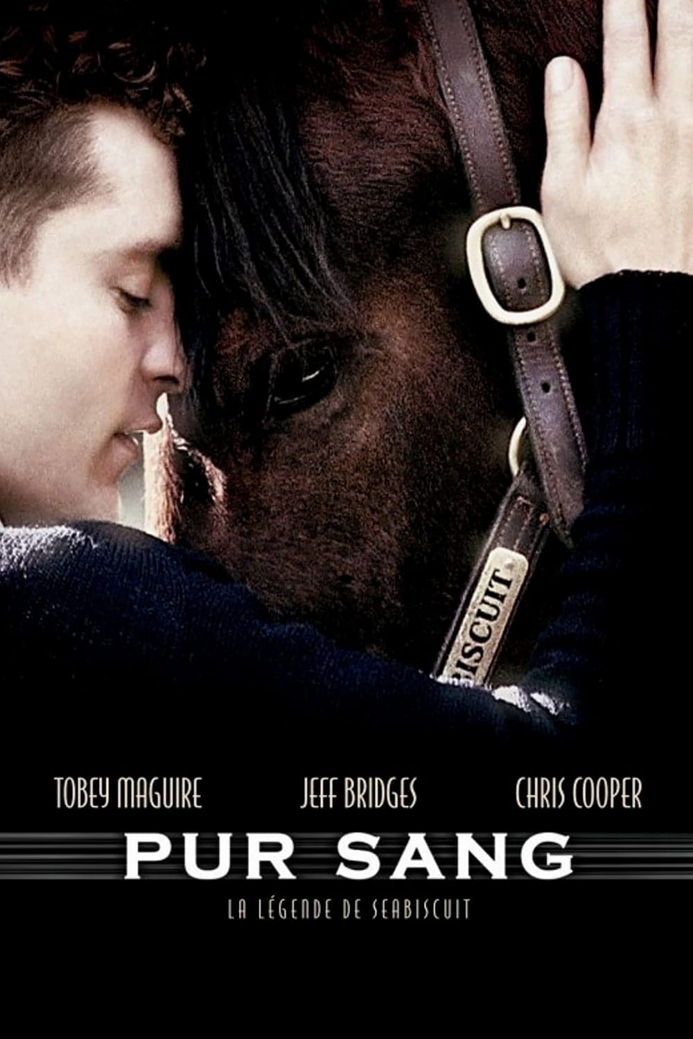 Poster of Seabiscuit