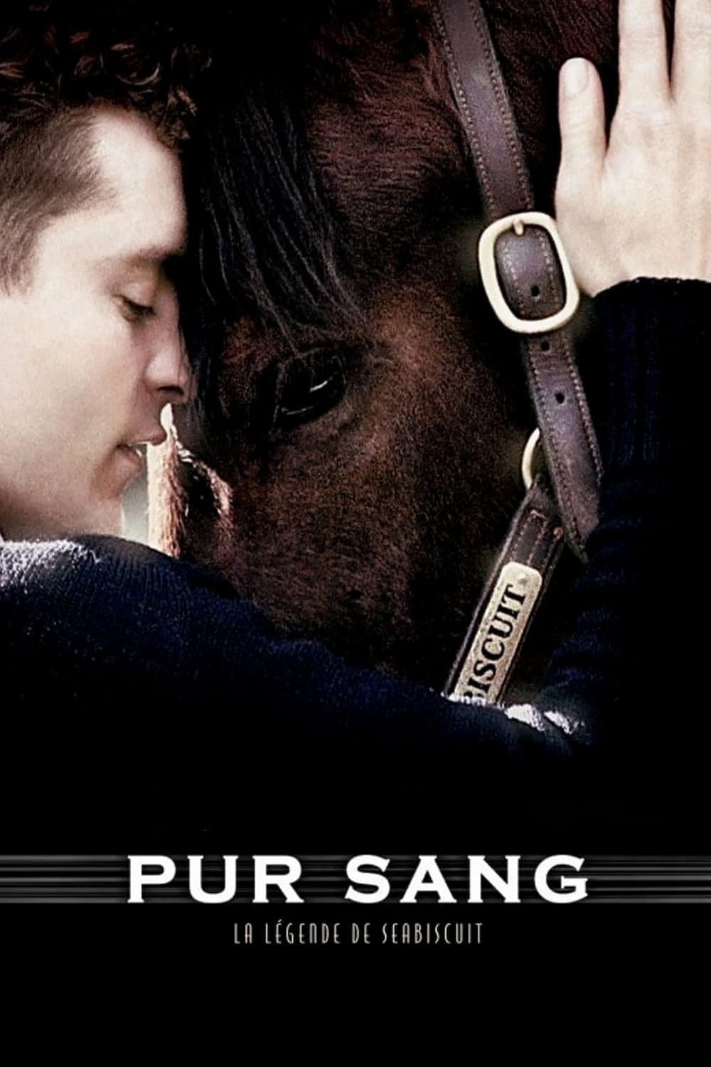 Poster of Seabiscuit