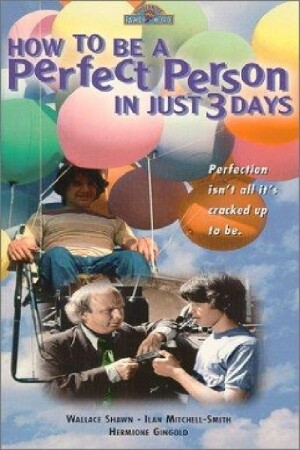 Póster de la película How to Be a Perfect Person in Just Three Days