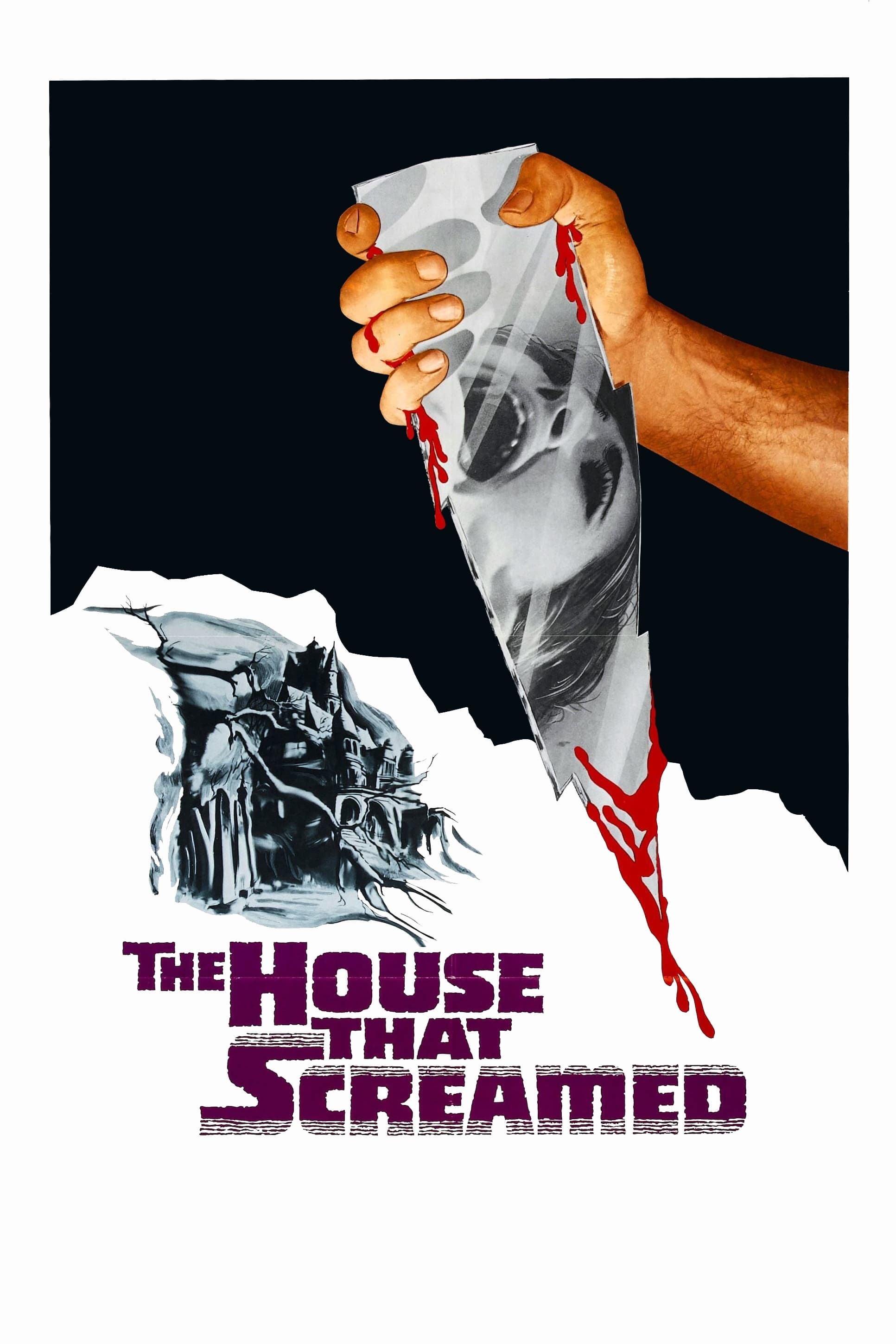Poster of The House That Screamed