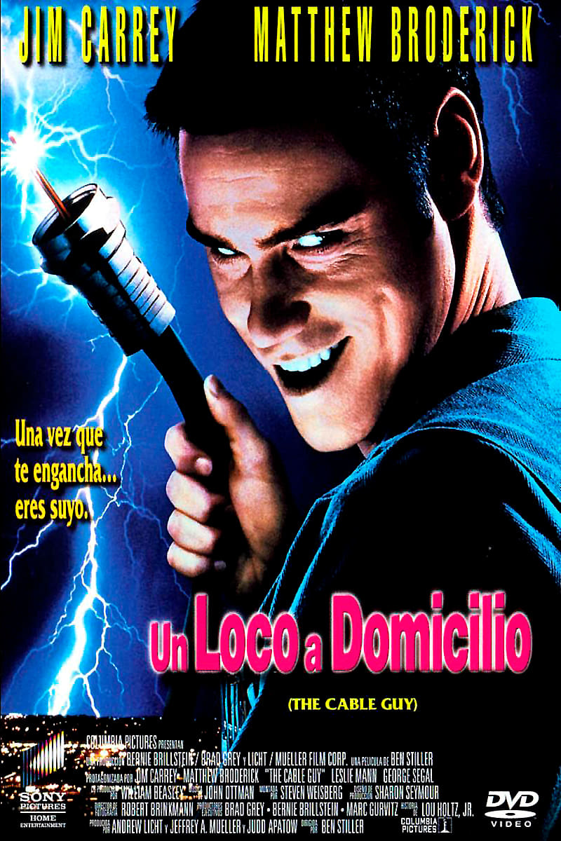 Póster de Un loco a domicilio