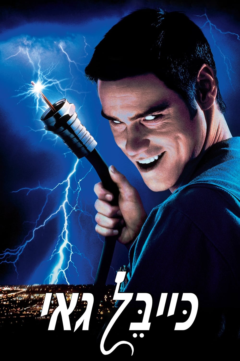Póster de Un loco a domicilio