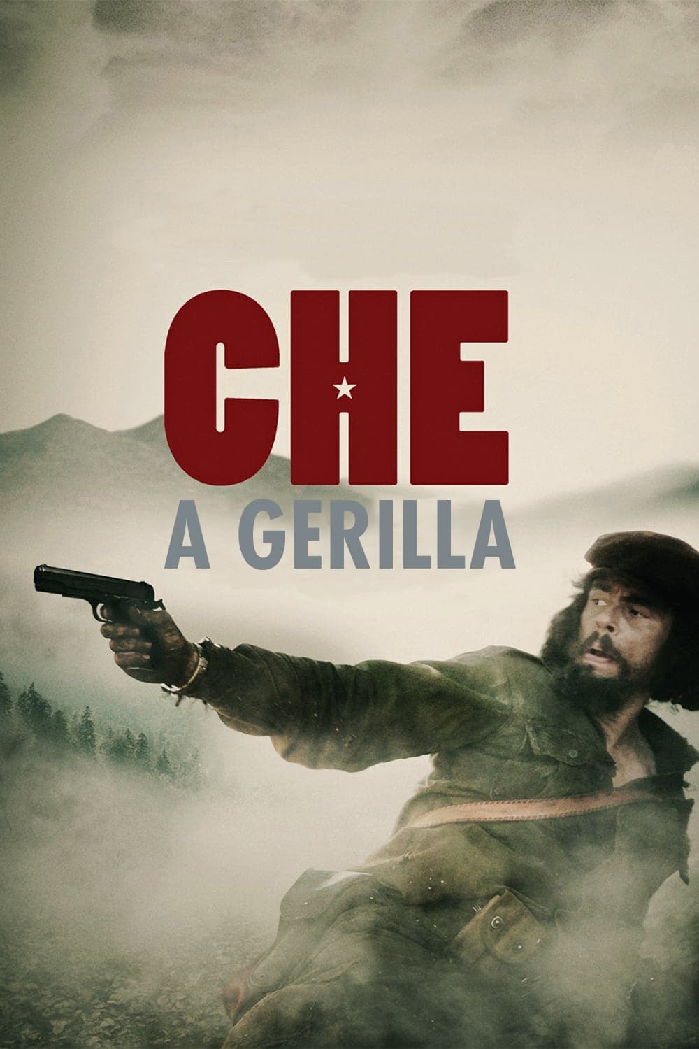 Poster of Che: Part Two