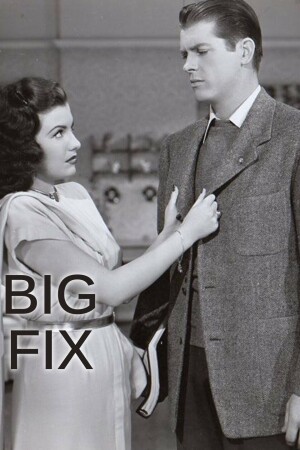 The Big Fix film poster