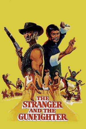 The Stranger and the Gunfighter film poster
