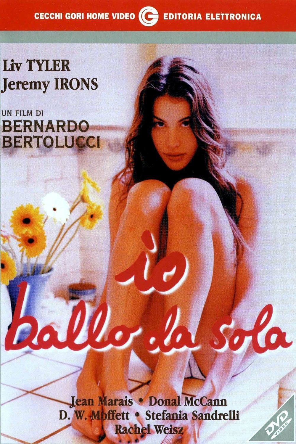 Poster of Stealing Beauty