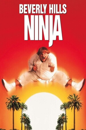 Beverly Hills Ninja film poster